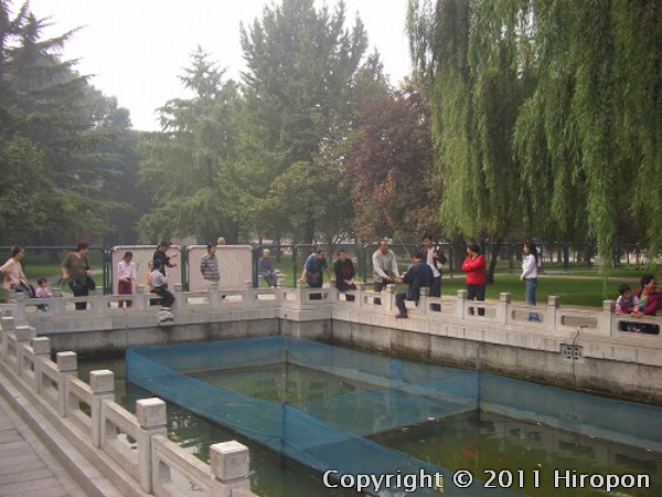 故宮博物館（北京） 4