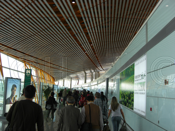 北京国際空港(2008年5月) 10
