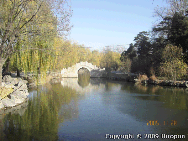 清華大学の公園