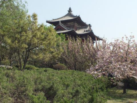 青龍寺 12