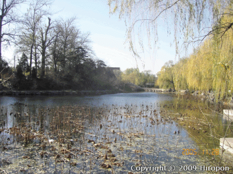 清華大学