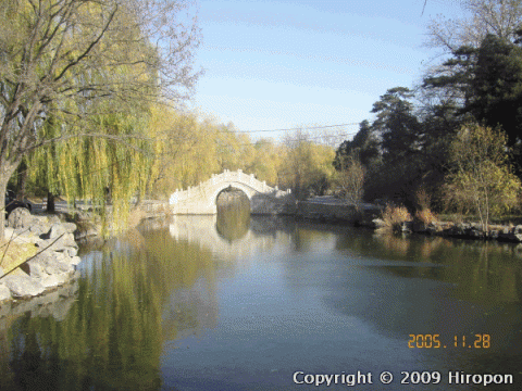 清華大学の公園