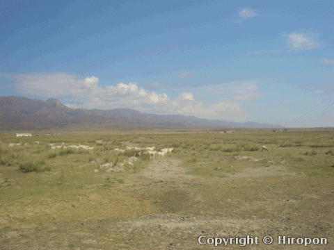 カザフスタン国境近くの草原